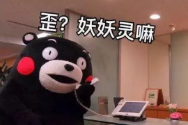 瓮安债务清欠服务